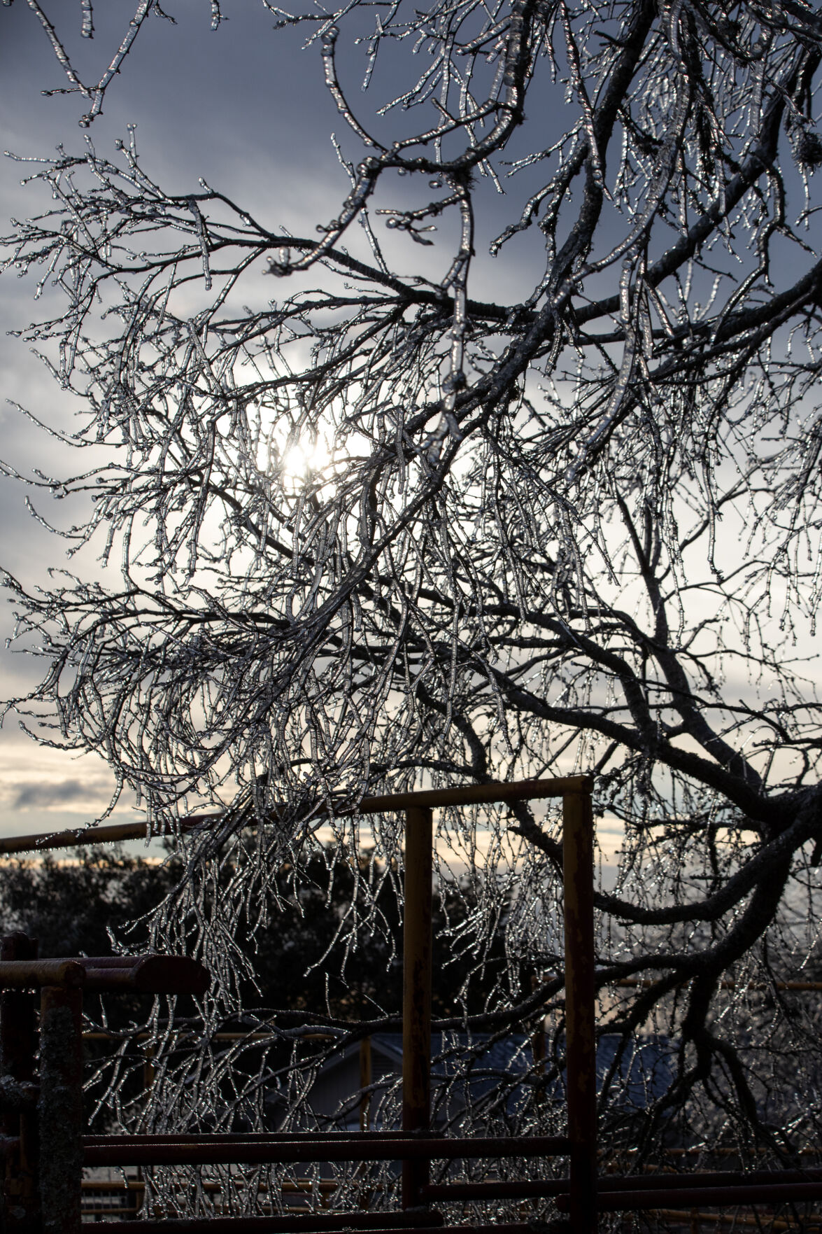 Winter storm in Goliad